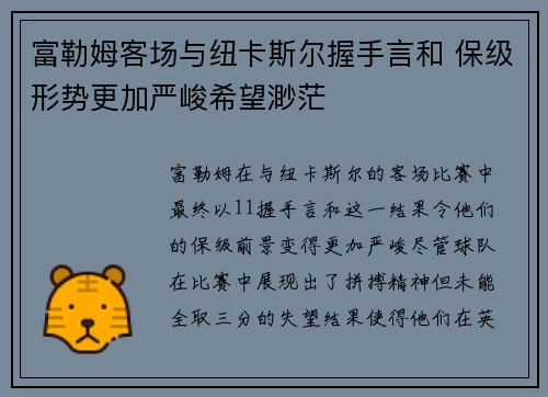 富勒姆客场与纽卡斯尔握手言和 保级形势更加严峻希望渺茫