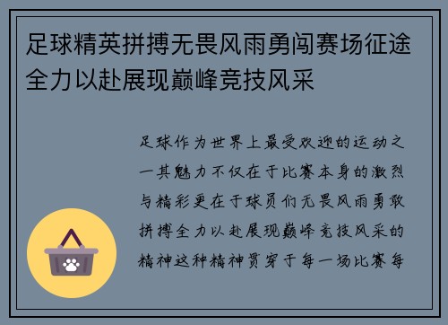 足球精英拼搏无畏风雨勇闯赛场征途全力以赴展现巅峰竞技风采