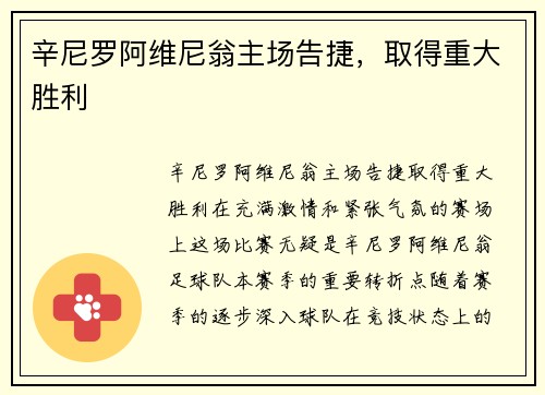 辛尼罗阿维尼翁主场告捷，取得重大胜利