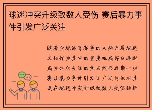 球迷冲突升级致数人受伤 赛后暴力事件引发广泛关注